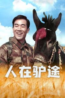 人在驴途在线观看,一场别开生面的在线观影之旅  第1张