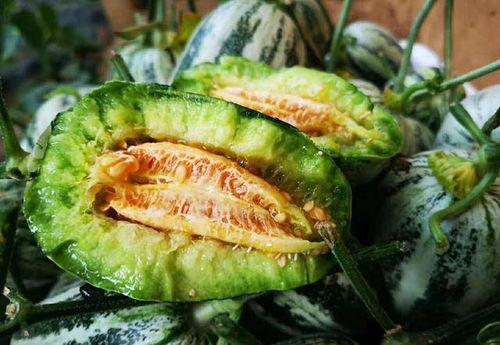 山东两位网红吃瓜视频曝光 第1张 山东两位网红吃瓜视频曝光 第1张