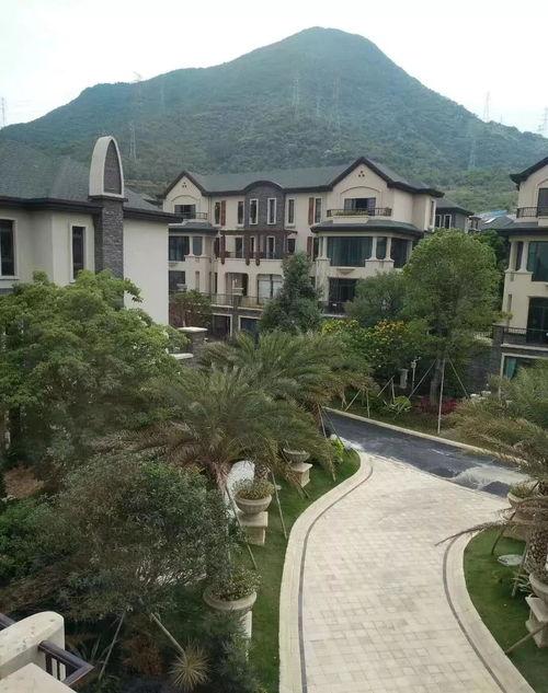 东莞外卖爆料案件最新消息,疑点重重,真相渐明 第2张 东莞外卖爆料案件最新消息,疑点重重,真相渐明 第2张